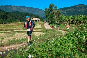 BIB: 
                            <button type="button" onclick="openModal(26725080)" class="btn btn-primary btn-sm float-right btn-popup" data-toggle="modal" data-target=".modal-high-quality">
                        <i class="fas fa-shopping-cart"></i> Add to Cart
                    </button>
                                            <button type="button" onclick="isThisMe(26725080, true)" class="btn btn-success btn-sm float-right btn-popup btn-isme hidden" data-toggle="tooltip" data-placement="bottom" title="นี่คือรูปของคุณใช่ไหม คลิกที่นี่เพื่อเอาเข้าอัลบั้ม">
                        <i class="fas fa-plus"></i> Add to album
                    </button>
                    <button type="button" onclick="isThisMe(26725080, false)" class="btn btn-warning btn-sm float-right btn-popup btn-isnotme hidden">
                        <i class="fas fa-ban"></i> Remove from album
                    </button>