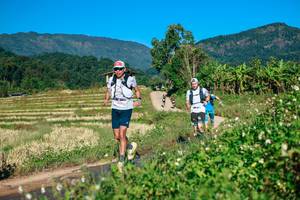 BIB: 
                            <button type="button" onclick="openModal(26725308)" class="btn btn-primary btn-sm float-right btn-popup" data-toggle="modal" data-target=".modal-high-quality">
                        <i class="fas fa-shopping-cart"></i> Add to Cart
                    </button>
                                            <button type="button" onclick="isThisMe(26725308, true)" class="btn btn-success btn-sm float-right btn-popup btn-isme hidden" data-toggle="tooltip" data-placement="bottom" title="นี่คือรูปของคุณใช่ไหม คลิกที่นี่เพื่อเอาเข้าอัลบั้ม">
                        <i class="fas fa-plus"></i> Add to album
                    </button>
                    <button type="button" onclick="isThisMe(26725308, false)" class="btn btn-warning btn-sm float-right btn-popup btn-isnotme hidden">
                        <i class="fas fa-ban"></i> Remove from album
                    </button>