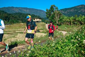 BIB: 
                            <button type="button" onclick="openModal(26725194)" class="btn btn-primary btn-sm float-right btn-popup" data-toggle="modal" data-target=".modal-high-quality">
                        <i class="fas fa-shopping-cart"></i> Add to Cart
                    </button>
                                            <button type="button" onclick="isThisMe(26725194, true)" class="btn btn-success btn-sm float-right btn-popup btn-isme hidden" data-toggle="tooltip" data-placement="bottom" title="นี่คือรูปของคุณใช่ไหม คลิกที่นี่เพื่อเอาเข้าอัลบั้ม">
                        <i class="fas fa-plus"></i> Add to album
                    </button>
                    <button type="button" onclick="isThisMe(26725194, false)" class="btn btn-warning btn-sm float-right btn-popup btn-isnotme hidden">
                        <i class="fas fa-ban"></i> Remove from album
                    </button>