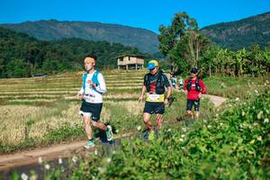 BIB: 
                            <button type="button" onclick="openModal(26725186)" class="btn btn-primary btn-sm float-right btn-popup" data-toggle="modal" data-target=".modal-high-quality">
                        <i class="fas fa-shopping-cart"></i> Add to Cart
                    </button>
                                            <button type="button" onclick="isThisMe(26725186, true)" class="btn btn-success btn-sm float-right btn-popup btn-isme hidden" data-toggle="tooltip" data-placement="bottom" title="นี่คือรูปของคุณใช่ไหม คลิกที่นี่เพื่อเอาเข้าอัลบั้ม">
                        <i class="fas fa-plus"></i> Add to album
                    </button>
                    <button type="button" onclick="isThisMe(26725186, false)" class="btn btn-warning btn-sm float-right btn-popup btn-isnotme hidden">
                        <i class="fas fa-ban"></i> Remove from album
                    </button>