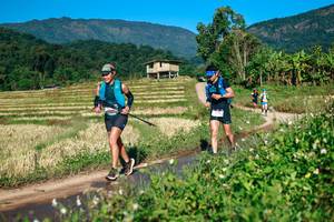 BIB: 
                            <button type="button" onclick="openModal(26724141)" class="btn btn-primary btn-sm float-right btn-popup" data-toggle="modal" data-target=".modal-high-quality">
                        <i class="fas fa-shopping-cart"></i> Add to Cart
                    </button>
                                            <button type="button" onclick="isThisMe(26724141, true)" class="btn btn-success btn-sm float-right btn-popup btn-isme hidden" data-toggle="tooltip" data-placement="bottom" title="นี่คือรูปของคุณใช่ไหม คลิกที่นี่เพื่อเอาเข้าอัลบั้ม">
                        <i class="fas fa-plus"></i> Add to album
                    </button>
                    <button type="button" onclick="isThisMe(26724141, false)" class="btn btn-warning btn-sm float-right btn-popup btn-isnotme hidden">
                        <i class="fas fa-ban"></i> Remove from album
                    </button>