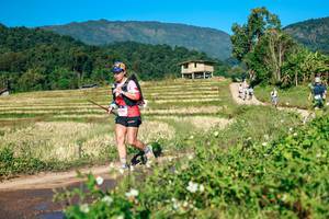 BIB: 
                            <button type="button" onclick="openModal(26726377)" class="btn btn-primary btn-sm float-right btn-popup" data-toggle="modal" data-target=".modal-high-quality">
                        <i class="fas fa-shopping-cart"></i> Add to Cart
                    </button>
                                            <button type="button" onclick="isThisMe(26726377, true)" class="btn btn-success btn-sm float-right btn-popup btn-isme hidden" data-toggle="tooltip" data-placement="bottom" title="นี่คือรูปของคุณใช่ไหม คลิกที่นี่เพื่อเอาเข้าอัลบั้ม">
                        <i class="fas fa-plus"></i> Add to album
                    </button>
                    <button type="button" onclick="isThisMe(26726377, false)" class="btn btn-warning btn-sm float-right btn-popup btn-isnotme hidden">
                        <i class="fas fa-ban"></i> Remove from album
                    </button>