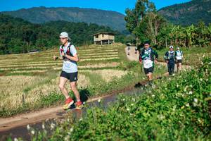 BIB: 
                            <button type="button" onclick="openModal(26723508)" class="btn btn-primary btn-sm float-right btn-popup" data-toggle="modal" data-target=".modal-high-quality">
                        <i class="fas fa-shopping-cart"></i> Add to Cart
                    </button>
                                            <button type="button" onclick="isThisMe(26723508, true)" class="btn btn-success btn-sm float-right btn-popup btn-isme hidden" data-toggle="tooltip" data-placement="bottom" title="นี่คือรูปของคุณใช่ไหม คลิกที่นี่เพื่อเอาเข้าอัลบั้ม">
                        <i class="fas fa-plus"></i> Add to album
                    </button>
                    <button type="button" onclick="isThisMe(26723508, false)" class="btn btn-warning btn-sm float-right btn-popup btn-isnotme hidden">
                        <i class="fas fa-ban"></i> Remove from album
                    </button>