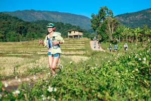 BIB: 
                            <button type="button" onclick="openModal(26726005)" class="btn btn-primary btn-sm float-right btn-popup" data-toggle="modal" data-target=".modal-high-quality">
                        <i class="fas fa-shopping-cart"></i> Add to Cart
                    </button>
                                            <button type="button" onclick="isThisMe(26726005, true)" class="btn btn-success btn-sm float-right btn-popup btn-isme hidden" data-toggle="tooltip" data-placement="bottom" title="นี่คือรูปของคุณใช่ไหม คลิกที่นี่เพื่อเอาเข้าอัลบั้ม">
                        <i class="fas fa-plus"></i> Add to album
                    </button>
                    <button type="button" onclick="isThisMe(26726005, false)" class="btn btn-warning btn-sm float-right btn-popup btn-isnotme hidden">
                        <i class="fas fa-ban"></i> Remove from album
                    </button>