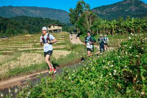 BIB: 
                            <button type="button" onclick="openModal(26723494)" class="btn btn-primary btn-sm float-right btn-popup" data-toggle="modal" data-target=".modal-high-quality">
                        <i class="fas fa-shopping-cart"></i> Add to Cart
                    </button>
                                            <button type="button" onclick="isThisMe(26723494, true)" class="btn btn-success btn-sm float-right btn-popup btn-isme hidden" data-toggle="tooltip" data-placement="bottom" title="นี่คือรูปของคุณใช่ไหม คลิกที่นี่เพื่อเอาเข้าอัลบั้ม">
                        <i class="fas fa-plus"></i> Add to album
                    </button>
                    <button type="button" onclick="isThisMe(26723494, false)" class="btn btn-warning btn-sm float-right btn-popup btn-isnotme hidden">
                        <i class="fas fa-ban"></i> Remove from album
                    </button>