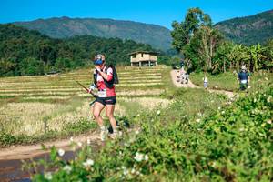 BIB: 
                            <button type="button" onclick="openModal(26726375)" class="btn btn-primary btn-sm float-right btn-popup" data-toggle="modal" data-target=".modal-high-quality">
                        <i class="fas fa-shopping-cart"></i> Add to Cart
                    </button>
                                            <button type="button" onclick="isThisMe(26726375, true)" class="btn btn-success btn-sm float-right btn-popup btn-isme hidden" data-toggle="tooltip" data-placement="bottom" title="นี่คือรูปของคุณใช่ไหม คลิกที่นี่เพื่อเอาเข้าอัลบั้ม">
                        <i class="fas fa-plus"></i> Add to album
                    </button>
                    <button type="button" onclick="isThisMe(26726375, false)" class="btn btn-warning btn-sm float-right btn-popup btn-isnotme hidden">
                        <i class="fas fa-ban"></i> Remove from album
                    </button>