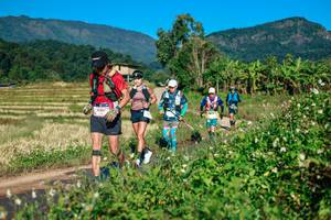 BIB: 
                            <button type="button" onclick="openModal(26724574)" class="btn btn-primary btn-sm float-right btn-popup" data-toggle="modal" data-target=".modal-high-quality">
                        <i class="fas fa-shopping-cart"></i> Add to Cart
                    </button>
                                            <button type="button" onclick="isThisMe(26724574, true)" class="btn btn-success btn-sm float-right btn-popup btn-isme hidden" data-toggle="tooltip" data-placement="bottom" title="นี่คือรูปของคุณใช่ไหม คลิกที่นี่เพื่อเอาเข้าอัลบั้ม">
                        <i class="fas fa-plus"></i> Add to album
                    </button>
                    <button type="button" onclick="isThisMe(26724574, false)" class="btn btn-warning btn-sm float-right btn-popup btn-isnotme hidden">
                        <i class="fas fa-ban"></i> Remove from album
                    </button>