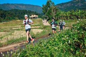 BIB: 
                            <button type="button" onclick="openModal(26723495)" class="btn btn-primary btn-sm float-right btn-popup" data-toggle="modal" data-target=".modal-high-quality">
                        <i class="fas fa-shopping-cart"></i> Add to Cart
                    </button>
                                            <button type="button" onclick="isThisMe(26723495, true)" class="btn btn-success btn-sm float-right btn-popup btn-isme hidden" data-toggle="tooltip" data-placement="bottom" title="นี่คือรูปของคุณใช่ไหม คลิกที่นี่เพื่อเอาเข้าอัลบั้ม">
                        <i class="fas fa-plus"></i> Add to album
                    </button>
                    <button type="button" onclick="isThisMe(26723495, false)" class="btn btn-warning btn-sm float-right btn-popup btn-isnotme hidden">
                        <i class="fas fa-ban"></i> Remove from album
                    </button>