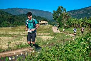 BIB: 
                            <button type="button" onclick="openModal(26725495)" class="btn btn-primary btn-sm float-right btn-popup" data-toggle="modal" data-target=".modal-high-quality">
                        <i class="fas fa-shopping-cart"></i> Add to Cart
                    </button>
                                            <button type="button" onclick="isThisMe(26725495, true)" class="btn btn-success btn-sm float-right btn-popup btn-isme hidden" data-toggle="tooltip" data-placement="bottom" title="นี่คือรูปของคุณใช่ไหม คลิกที่นี่เพื่อเอาเข้าอัลบั้ม">
                        <i class="fas fa-plus"></i> Add to album
                    </button>
                    <button type="button" onclick="isThisMe(26725495, false)" class="btn btn-warning btn-sm float-right btn-popup btn-isnotme hidden">
                        <i class="fas fa-ban"></i> Remove from album
                    </button>