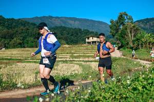 BIB: 
                            <button type="button" onclick="openModal(26725521)" class="btn btn-primary btn-sm float-right btn-popup" data-toggle="modal" data-target=".modal-high-quality">
                        <i class="fas fa-shopping-cart"></i> Add to Cart
                    </button>
                                            <button type="button" onclick="isThisMe(26725521, true)" class="btn btn-success btn-sm float-right btn-popup btn-isme hidden" data-toggle="tooltip" data-placement="bottom" title="นี่คือรูปของคุณใช่ไหม คลิกที่นี่เพื่อเอาเข้าอัลบั้ม">
                        <i class="fas fa-plus"></i> Add to album
                    </button>
                    <button type="button" onclick="isThisMe(26725521, false)" class="btn btn-warning btn-sm float-right btn-popup btn-isnotme hidden">
                        <i class="fas fa-ban"></i> Remove from album
                    </button>