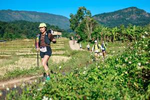 BIB: 
                            <button type="button" onclick="openModal(26724822)" class="btn btn-primary btn-sm float-right btn-popup" data-toggle="modal" data-target=".modal-high-quality">
                        <i class="fas fa-shopping-cart"></i> Add to Cart
                    </button>
                                            <button type="button" onclick="isThisMe(26724822, true)" class="btn btn-success btn-sm float-right btn-popup btn-isme hidden" data-toggle="tooltip" data-placement="bottom" title="นี่คือรูปของคุณใช่ไหม คลิกที่นี่เพื่อเอาเข้าอัลบั้ม">
                        <i class="fas fa-plus"></i> Add to album
                    </button>
                    <button type="button" onclick="isThisMe(26724822, false)" class="btn btn-warning btn-sm float-right btn-popup btn-isnotme hidden">
                        <i class="fas fa-ban"></i> Remove from album
                    </button>