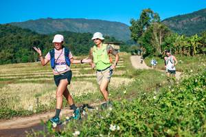 BIB: 
                            <button type="button" onclick="openModal(26726661)" class="btn btn-primary btn-sm float-right btn-popup" data-toggle="modal" data-target=".modal-high-quality">
                        <i class="fas fa-shopping-cart"></i> Add to Cart
                    </button>
                                            <button type="button" onclick="isThisMe(26726661, true)" class="btn btn-success btn-sm float-right btn-popup btn-isme hidden" data-toggle="tooltip" data-placement="bottom" title="นี่คือรูปของคุณใช่ไหม คลิกที่นี่เพื่อเอาเข้าอัลบั้ม">
                        <i class="fas fa-plus"></i> Add to album
                    </button>
                    <button type="button" onclick="isThisMe(26726661, false)" class="btn btn-warning btn-sm float-right btn-popup btn-isnotme hidden">
                        <i class="fas fa-ban"></i> Remove from album
                    </button>