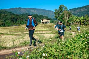 BIB: 
                            <button type="button" onclick="openModal(26726215)" class="btn btn-primary btn-sm float-right btn-popup" data-toggle="modal" data-target=".modal-high-quality">
                        <i class="fas fa-shopping-cart"></i> Add to Cart
                    </button>
                                            <button type="button" onclick="isThisMe(26726215, true)" class="btn btn-success btn-sm float-right btn-popup btn-isme hidden" data-toggle="tooltip" data-placement="bottom" title="นี่คือรูปของคุณใช่ไหม คลิกที่นี่เพื่อเอาเข้าอัลบั้ม">
                        <i class="fas fa-plus"></i> Add to album
                    </button>
                    <button type="button" onclick="isThisMe(26726215, false)" class="btn btn-warning btn-sm float-right btn-popup btn-isnotme hidden">
                        <i class="fas fa-ban"></i> Remove from album
                    </button>