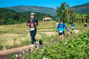 BIB: 
                            <button type="button" onclick="openModal(26725899)" class="btn btn-primary btn-sm float-right btn-popup" data-toggle="modal" data-target=".modal-high-quality">
                        <i class="fas fa-shopping-cart"></i> Add to Cart
                    </button>
                                            <button type="button" onclick="isThisMe(26725899, true)" class="btn btn-success btn-sm float-right btn-popup btn-isme hidden" data-toggle="tooltip" data-placement="bottom" title="นี่คือรูปของคุณใช่ไหม คลิกที่นี่เพื่อเอาเข้าอัลบั้ม">
                        <i class="fas fa-plus"></i> Add to album
                    </button>
                    <button type="button" onclick="isThisMe(26725899, false)" class="btn btn-warning btn-sm float-right btn-popup btn-isnotme hidden">
                        <i class="fas fa-ban"></i> Remove from album
                    </button>