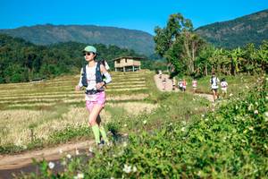 BIB: 
                            <button type="button" onclick="openModal(26726546)" class="btn btn-primary btn-sm float-right btn-popup" data-toggle="modal" data-target=".modal-high-quality">
                        <i class="fas fa-shopping-cart"></i> Add to Cart
                    </button>
                                            <button type="button" onclick="isThisMe(26726546, true)" class="btn btn-success btn-sm float-right btn-popup btn-isme hidden" data-toggle="tooltip" data-placement="bottom" title="นี่คือรูปของคุณใช่ไหม คลิกที่นี่เพื่อเอาเข้าอัลบั้ม">
                        <i class="fas fa-plus"></i> Add to album
                    </button>
                    <button type="button" onclick="isThisMe(26726546, false)" class="btn btn-warning btn-sm float-right btn-popup btn-isnotme hidden">
                        <i class="fas fa-ban"></i> Remove from album
                    </button>