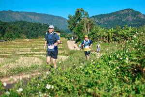 BIB: 
                            <button type="button" onclick="openModal(26726394)" class="btn btn-primary btn-sm float-right btn-popup" data-toggle="modal" data-target=".modal-high-quality">
                        <i class="fas fa-shopping-cart"></i> Add to Cart
                    </button>
                                            <button type="button" onclick="isThisMe(26726394, true)" class="btn btn-success btn-sm float-right btn-popup btn-isme hidden" data-toggle="tooltip" data-placement="bottom" title="นี่คือรูปของคุณใช่ไหม คลิกที่นี่เพื่อเอาเข้าอัลบั้ม">
                        <i class="fas fa-plus"></i> Add to album
                    </button>
                    <button type="button" onclick="isThisMe(26726394, false)" class="btn btn-warning btn-sm float-right btn-popup btn-isnotme hidden">
                        <i class="fas fa-ban"></i> Remove from album
                    </button>