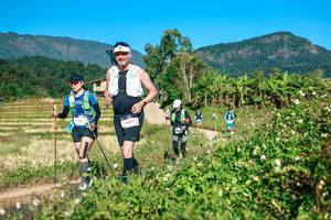 BIB: 
                            <button type="button" onclick="openModal(26726029)" class="btn btn-primary btn-sm float-right btn-popup" data-toggle="modal" data-target=".modal-high-quality">
                        <i class="fas fa-shopping-cart"></i> Add to Cart
                    </button>
                                            <button type="button" onclick="isThisMe(26726029, true)" class="btn btn-success btn-sm float-right btn-popup btn-isme hidden" data-toggle="tooltip" data-placement="bottom" title="นี่คือรูปของคุณใช่ไหม คลิกที่นี่เพื่อเอาเข้าอัลบั้ม">
                        <i class="fas fa-plus"></i> Add to album
                    </button>
                    <button type="button" onclick="isThisMe(26726029, false)" class="btn btn-warning btn-sm float-right btn-popup btn-isnotme hidden">
                        <i class="fas fa-ban"></i> Remove from album
                    </button>