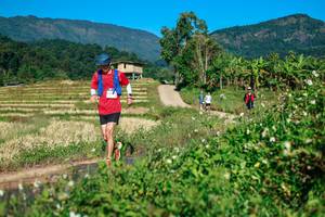 BIB: 
                            <button type="button" onclick="openModal(26723909)" class="btn btn-primary btn-sm float-right btn-popup" data-toggle="modal" data-target=".modal-high-quality">
                        <i class="fas fa-shopping-cart"></i> Add to Cart
                    </button>
                                            <button type="button" onclick="isThisMe(26723909, true)" class="btn btn-success btn-sm float-right btn-popup btn-isme hidden" data-toggle="tooltip" data-placement="bottom" title="นี่คือรูปของคุณใช่ไหม คลิกที่นี่เพื่อเอาเข้าอัลบั้ม">
                        <i class="fas fa-plus"></i> Add to album
                    </button>
                    <button type="button" onclick="isThisMe(26723909, false)" class="btn btn-warning btn-sm float-right btn-popup btn-isnotme hidden">
                        <i class="fas fa-ban"></i> Remove from album
                    </button>