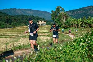 BIB: 
                            <button type="button" onclick="openModal(26725404)" class="btn btn-primary btn-sm float-right btn-popup" data-toggle="modal" data-target=".modal-high-quality">
                        <i class="fas fa-shopping-cart"></i> Add to Cart
                    </button>
                                            <button type="button" onclick="isThisMe(26725404, true)" class="btn btn-success btn-sm float-right btn-popup btn-isme hidden" data-toggle="tooltip" data-placement="bottom" title="นี่คือรูปของคุณใช่ไหม คลิกที่นี่เพื่อเอาเข้าอัลบั้ม">
                        <i class="fas fa-plus"></i> Add to album
                    </button>
                    <button type="button" onclick="isThisMe(26725404, false)" class="btn btn-warning btn-sm float-right btn-popup btn-isnotme hidden">
                        <i class="fas fa-ban"></i> Remove from album
                    </button>