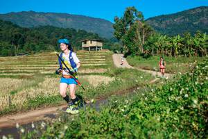 BIB: 
                            <button type="button" onclick="openModal(26724236)" class="btn btn-primary btn-sm float-right btn-popup" data-toggle="modal" data-target=".modal-high-quality">
                        <i class="fas fa-shopping-cart"></i> Add to Cart
                    </button>
                                            <button type="button" onclick="isThisMe(26724236, true)" class="btn btn-success btn-sm float-right btn-popup btn-isme hidden" data-toggle="tooltip" data-placement="bottom" title="นี่คือรูปของคุณใช่ไหม คลิกที่นี่เพื่อเอาเข้าอัลบั้ม">
                        <i class="fas fa-plus"></i> Add to album
                    </button>
                    <button type="button" onclick="isThisMe(26724236, false)" class="btn btn-warning btn-sm float-right btn-popup btn-isnotme hidden">
                        <i class="fas fa-ban"></i> Remove from album
                    </button>