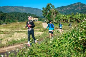 BIB: 
                            <button type="button" onclick="openModal(26725882)" class="btn btn-primary btn-sm float-right btn-popup" data-toggle="modal" data-target=".modal-high-quality">
                        <i class="fas fa-shopping-cart"></i> Add to Cart
                    </button>
                                            <button type="button" onclick="isThisMe(26725882, true)" class="btn btn-success btn-sm float-right btn-popup btn-isme hidden" data-toggle="tooltip" data-placement="bottom" title="นี่คือรูปของคุณใช่ไหม คลิกที่นี่เพื่อเอาเข้าอัลบั้ม">
                        <i class="fas fa-plus"></i> Add to album
                    </button>
                    <button type="button" onclick="isThisMe(26725882, false)" class="btn btn-warning btn-sm float-right btn-popup btn-isnotme hidden">
                        <i class="fas fa-ban"></i> Remove from album
                    </button>