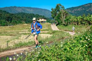 BIB: 
                            <button type="button" onclick="openModal(26725740)" class="btn btn-primary btn-sm float-right btn-popup" data-toggle="modal" data-target=".modal-high-quality">
                        <i class="fas fa-shopping-cart"></i> Add to Cart
                    </button>
                                            <button type="button" onclick="isThisMe(26725740, true)" class="btn btn-success btn-sm float-right btn-popup btn-isme hidden" data-toggle="tooltip" data-placement="bottom" title="นี่คือรูปของคุณใช่ไหม คลิกที่นี่เพื่อเอาเข้าอัลบั้ม">
                        <i class="fas fa-plus"></i> Add to album
                    </button>
                    <button type="button" onclick="isThisMe(26725740, false)" class="btn btn-warning btn-sm float-right btn-popup btn-isnotme hidden">
                        <i class="fas fa-ban"></i> Remove from album
                    </button>