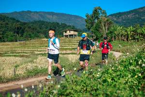 BIB: 
                            <button type="button" onclick="openModal(26725180)" class="btn btn-primary btn-sm float-right btn-popup" data-toggle="modal" data-target=".modal-high-quality">
                        <i class="fas fa-shopping-cart"></i> Add to Cart
                    </button>
                                            <button type="button" onclick="isThisMe(26725180, true)" class="btn btn-success btn-sm float-right btn-popup btn-isme hidden" data-toggle="tooltip" data-placement="bottom" title="นี่คือรูปของคุณใช่ไหม คลิกที่นี่เพื่อเอาเข้าอัลบั้ม">
                        <i class="fas fa-plus"></i> Add to album
                    </button>
                    <button type="button" onclick="isThisMe(26725180, false)" class="btn btn-warning btn-sm float-right btn-popup btn-isnotme hidden">
                        <i class="fas fa-ban"></i> Remove from album
                    </button>