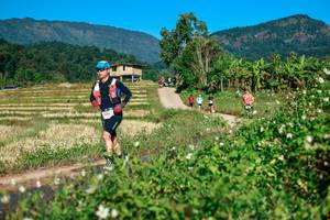 BIB: 
                            <button type="button" onclick="openModal(26725082)" class="btn btn-primary btn-sm float-right btn-popup" data-toggle="modal" data-target=".modal-high-quality">
                        <i class="fas fa-shopping-cart"></i> Add to Cart
                    </button>
                                            <button type="button" onclick="isThisMe(26725082, true)" class="btn btn-success btn-sm float-right btn-popup btn-isme hidden" data-toggle="tooltip" data-placement="bottom" title="นี่คือรูปของคุณใช่ไหม คลิกที่นี่เพื่อเอาเข้าอัลบั้ม">
                        <i class="fas fa-plus"></i> Add to album
                    </button>
                    <button type="button" onclick="isThisMe(26725082, false)" class="btn btn-warning btn-sm float-right btn-popup btn-isnotme hidden">
                        <i class="fas fa-ban"></i> Remove from album
                    </button>