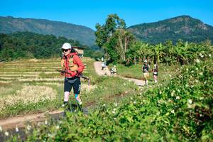 BIB: 
                            <button type="button" onclick="openModal(26724715)" class="btn btn-primary btn-sm float-right btn-popup" data-toggle="modal" data-target=".modal-high-quality">
                        <i class="fas fa-shopping-cart"></i> Add to Cart
                    </button>
                                            <button type="button" onclick="isThisMe(26724715, true)" class="btn btn-success btn-sm float-right btn-popup btn-isme hidden" data-toggle="tooltip" data-placement="bottom" title="นี่คือรูปของคุณใช่ไหม คลิกที่นี่เพื่อเอาเข้าอัลบั้ม">
                        <i class="fas fa-plus"></i> Add to album
                    </button>
                    <button type="button" onclick="isThisMe(26724715, false)" class="btn btn-warning btn-sm float-right btn-popup btn-isnotme hidden">
                        <i class="fas fa-ban"></i> Remove from album
                    </button>