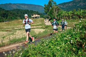 BIB: 
                            <button type="button" onclick="openModal(26723498)" class="btn btn-primary btn-sm float-right btn-popup" data-toggle="modal" data-target=".modal-high-quality">
                        <i class="fas fa-shopping-cart"></i> Add to Cart
                    </button>
                                            <button type="button" onclick="isThisMe(26723498, true)" class="btn btn-success btn-sm float-right btn-popup btn-isme hidden" data-toggle="tooltip" data-placement="bottom" title="นี่คือรูปของคุณใช่ไหม คลิกที่นี่เพื่อเอาเข้าอัลบั้ม">
                        <i class="fas fa-plus"></i> Add to album
                    </button>
                    <button type="button" onclick="isThisMe(26723498, false)" class="btn btn-warning btn-sm float-right btn-popup btn-isnotme hidden">
                        <i class="fas fa-ban"></i> Remove from album
                    </button>