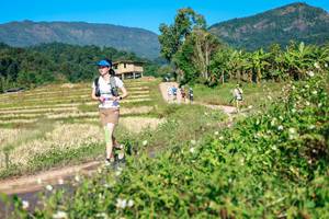 BIB: 
                            <button type="button" onclick="openModal(26683518)" class="btn btn-primary btn-sm float-right btn-popup" data-toggle="modal" data-target=".modal-high-quality">
                        <i class="fas fa-shopping-cart"></i> Add to Cart
                    </button>
                                            <button type="button" onclick="isThisMe(26683518, true)" class="btn btn-success btn-sm float-right btn-popup btn-isme hidden" data-toggle="tooltip" data-placement="bottom" title="นี่คือรูปของคุณใช่ไหม คลิกที่นี่เพื่อเอาเข้าอัลบั้ม">
                        <i class="fas fa-plus"></i> Add to album
                    </button>
                    <button type="button" onclick="isThisMe(26683518, false)" class="btn btn-warning btn-sm float-right btn-popup btn-isnotme hidden">
                        <i class="fas fa-ban"></i> Remove from album
                    </button>