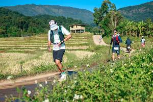 BIB: 
                            <button type="button" onclick="openModal(26728554)" class="btn btn-primary btn-sm float-right btn-popup" data-toggle="modal" data-target=".modal-high-quality">
                        <i class="fas fa-shopping-cart"></i> Add to Cart
                    </button>
                                            <button type="button" onclick="isThisMe(26728554, true)" class="btn btn-success btn-sm float-right btn-popup btn-isme hidden" data-toggle="tooltip" data-placement="bottom" title="นี่คือรูปของคุณใช่ไหม คลิกที่นี่เพื่อเอาเข้าอัลบั้ม">
                        <i class="fas fa-plus"></i> Add to album
                    </button>
                    <button type="button" onclick="isThisMe(26728554, false)" class="btn btn-warning btn-sm float-right btn-popup btn-isnotme hidden">
                        <i class="fas fa-ban"></i> Remove from album
                    </button>