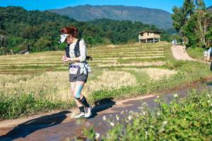 BIB: 
                            <button type="button" onclick="openModal(26683473)" class="btn btn-primary btn-sm float-right btn-popup" data-toggle="modal" data-target=".modal-high-quality">
                        <i class="fas fa-shopping-cart"></i> Add to Cart
                    </button>
                                            <button type="button" onclick="isThisMe(26683473, true)" class="btn btn-success btn-sm float-right btn-popup btn-isme hidden" data-toggle="tooltip" data-placement="bottom" title="นี่คือรูปของคุณใช่ไหม คลิกที่นี่เพื่อเอาเข้าอัลบั้ม">
                        <i class="fas fa-plus"></i> Add to album
                    </button>
                    <button type="button" onclick="isThisMe(26683473, false)" class="btn btn-warning btn-sm float-right btn-popup btn-isnotme hidden">
                        <i class="fas fa-ban"></i> Remove from album
                    </button>