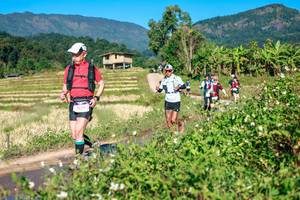 BIB: 
                            <button type="button" onclick="openModal(26683648)" class="btn btn-primary btn-sm float-right btn-popup" data-toggle="modal" data-target=".modal-high-quality">
                        <i class="fas fa-shopping-cart"></i> Add to Cart
                    </button>
                                            <button type="button" onclick="isThisMe(26683648, true)" class="btn btn-success btn-sm float-right btn-popup btn-isme hidden" data-toggle="tooltip" data-placement="bottom" title="นี่คือรูปของคุณใช่ไหม คลิกที่นี่เพื่อเอาเข้าอัลบั้ม">
                        <i class="fas fa-plus"></i> Add to album
                    </button>
                    <button type="button" onclick="isThisMe(26683648, false)" class="btn btn-warning btn-sm float-right btn-popup btn-isnotme hidden">
                        <i class="fas fa-ban"></i> Remove from album
                    </button>