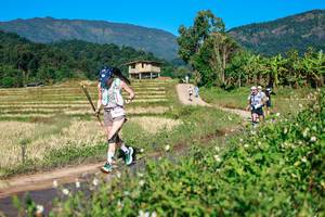 BIB: 
                            <button type="button" onclick="openModal(26729177)" class="btn btn-primary btn-sm float-right btn-popup" data-toggle="modal" data-target=".modal-high-quality">
                        <i class="fas fa-shopping-cart"></i> Add to Cart
                    </button>
                                            <button type="button" onclick="isThisMe(26729177, true)" class="btn btn-success btn-sm float-right btn-popup btn-isme hidden" data-toggle="tooltip" data-placement="bottom" title="นี่คือรูปของคุณใช่ไหม คลิกที่นี่เพื่อเอาเข้าอัลบั้ม">
                        <i class="fas fa-plus"></i> Add to album
                    </button>
                    <button type="button" onclick="isThisMe(26729177, false)" class="btn btn-warning btn-sm float-right btn-popup btn-isnotme hidden">
                        <i class="fas fa-ban"></i> Remove from album
                    </button>