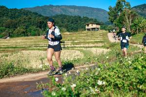 BIB: 
                            <button type="button" onclick="openModal(26727785)" class="btn btn-primary btn-sm float-right btn-popup" data-toggle="modal" data-target=".modal-high-quality">
                        <i class="fas fa-shopping-cart"></i> Add to Cart
                    </button>
                                            <button type="button" onclick="isThisMe(26727785, true)" class="btn btn-success btn-sm float-right btn-popup btn-isme hidden" data-toggle="tooltip" data-placement="bottom" title="นี่คือรูปของคุณใช่ไหม คลิกที่นี่เพื่อเอาเข้าอัลบั้ม">
                        <i class="fas fa-plus"></i> Add to album
                    </button>
                    <button type="button" onclick="isThisMe(26727785, false)" class="btn btn-warning btn-sm float-right btn-popup btn-isnotme hidden">
                        <i class="fas fa-ban"></i> Remove from album
                    </button>