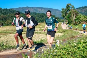 BIB: 
                            <button type="button" onclick="openModal(26729058)" class="btn btn-primary btn-sm float-right btn-popup" data-toggle="modal" data-target=".modal-high-quality">
                        <i class="fas fa-shopping-cart"></i> Add to Cart
                    </button>
                                            <button type="button" onclick="isThisMe(26729058, true)" class="btn btn-success btn-sm float-right btn-popup btn-isme hidden" data-toggle="tooltip" data-placement="bottom" title="นี่คือรูปของคุณใช่ไหม คลิกที่นี่เพื่อเอาเข้าอัลบั้ม">
                        <i class="fas fa-plus"></i> Add to album
                    </button>
                    <button type="button" onclick="isThisMe(26729058, false)" class="btn btn-warning btn-sm float-right btn-popup btn-isnotme hidden">
                        <i class="fas fa-ban"></i> Remove from album
                    </button>