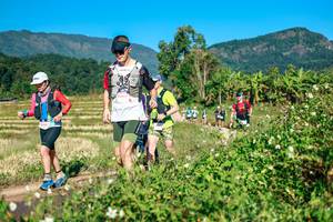 BIB: 
                            <button type="button" onclick="openModal(26727635)" class="btn btn-primary btn-sm float-right btn-popup" data-toggle="modal" data-target=".modal-high-quality">
                        <i class="fas fa-shopping-cart"></i> Add to Cart
                    </button>
                                            <button type="button" onclick="isThisMe(26727635, true)" class="btn btn-success btn-sm float-right btn-popup btn-isme hidden" data-toggle="tooltip" data-placement="bottom" title="นี่คือรูปของคุณใช่ไหม คลิกที่นี่เพื่อเอาเข้าอัลบั้ม">
                        <i class="fas fa-plus"></i> Add to album
                    </button>
                    <button type="button" onclick="isThisMe(26727635, false)" class="btn btn-warning btn-sm float-right btn-popup btn-isnotme hidden">
                        <i class="fas fa-ban"></i> Remove from album
                    </button>