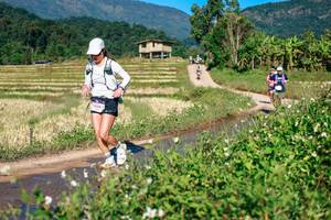 BIB: 
                            <button type="button" onclick="openModal(26728752)" class="btn btn-primary btn-sm float-right btn-popup" data-toggle="modal" data-target=".modal-high-quality">
                        <i class="fas fa-shopping-cart"></i> Add to Cart
                    </button>
                                            <button type="button" onclick="isThisMe(26728752, true)" class="btn btn-success btn-sm float-right btn-popup btn-isme hidden" data-toggle="tooltip" data-placement="bottom" title="นี่คือรูปของคุณใช่ไหม คลิกที่นี่เพื่อเอาเข้าอัลบั้ม">
                        <i class="fas fa-plus"></i> Add to album
                    </button>
                    <button type="button" onclick="isThisMe(26728752, false)" class="btn btn-warning btn-sm float-right btn-popup btn-isnotme hidden">
                        <i class="fas fa-ban"></i> Remove from album
                    </button>