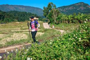 BIB: 
                            <button type="button" onclick="openModal(26728670)" class="btn btn-primary btn-sm float-right btn-popup" data-toggle="modal" data-target=".modal-high-quality">
                        <i class="fas fa-shopping-cart"></i> Add to Cart
                    </button>
                                            <button type="button" onclick="isThisMe(26728670, true)" class="btn btn-success btn-sm float-right btn-popup btn-isme hidden" data-toggle="tooltip" data-placement="bottom" title="นี่คือรูปของคุณใช่ไหม คลิกที่นี่เพื่อเอาเข้าอัลบั้ม">
                        <i class="fas fa-plus"></i> Add to album
                    </button>
                    <button type="button" onclick="isThisMe(26728670, false)" class="btn btn-warning btn-sm float-right btn-popup btn-isnotme hidden">
                        <i class="fas fa-ban"></i> Remove from album
                    </button>