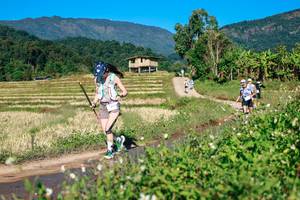 BIB: 
                            <button type="button" onclick="openModal(26729178)" class="btn btn-primary btn-sm float-right btn-popup" data-toggle="modal" data-target=".modal-high-quality">
                        <i class="fas fa-shopping-cart"></i> Add to Cart
                    </button>
                                            <button type="button" onclick="isThisMe(26729178, true)" class="btn btn-success btn-sm float-right btn-popup btn-isme hidden" data-toggle="tooltip" data-placement="bottom" title="นี่คือรูปของคุณใช่ไหม คลิกที่นี่เพื่อเอาเข้าอัลบั้ม">
                        <i class="fas fa-plus"></i> Add to album
                    </button>
                    <button type="button" onclick="isThisMe(26729178, false)" class="btn btn-warning btn-sm float-right btn-popup btn-isnotme hidden">
                        <i class="fas fa-ban"></i> Remove from album
                    </button>