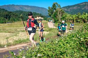 BIB: 
                            <button type="button" onclick="openModal(26683727)" class="btn btn-primary btn-sm float-right btn-popup" data-toggle="modal" data-target=".modal-high-quality">
                        <i class="fas fa-shopping-cart"></i> Add to Cart
                    </button>
                                            <button type="button" onclick="isThisMe(26683727, true)" class="btn btn-success btn-sm float-right btn-popup btn-isme hidden" data-toggle="tooltip" data-placement="bottom" title="นี่คือรูปของคุณใช่ไหม คลิกที่นี่เพื่อเอาเข้าอัลบั้ม">
                        <i class="fas fa-plus"></i> Add to album
                    </button>
                    <button type="button" onclick="isThisMe(26683727, false)" class="btn btn-warning btn-sm float-right btn-popup btn-isnotme hidden">
                        <i class="fas fa-ban"></i> Remove from album
                    </button>