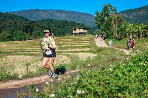 BIB: 
                            <button type="button" onclick="openModal(26683551)" class="btn btn-primary btn-sm float-right btn-popup" data-toggle="modal" data-target=".modal-high-quality">
                        <i class="fas fa-shopping-cart"></i> Add to Cart
                    </button>
                                            <button type="button" onclick="isThisMe(26683551, true)" class="btn btn-success btn-sm float-right btn-popup btn-isme hidden" data-toggle="tooltip" data-placement="bottom" title="นี่คือรูปของคุณใช่ไหม คลิกที่นี่เพื่อเอาเข้าอัลบั้ม">
                        <i class="fas fa-plus"></i> Add to album
                    </button>
                    <button type="button" onclick="isThisMe(26683551, false)" class="btn btn-warning btn-sm float-right btn-popup btn-isnotme hidden">
                        <i class="fas fa-ban"></i> Remove from album
                    </button>