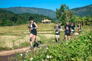 BIB: 
                            <button type="button" onclick="openModal(26727837)" class="btn btn-primary btn-sm float-right btn-popup" data-toggle="modal" data-target=".modal-high-quality">
                        <i class="fas fa-shopping-cart"></i> Add to Cart
                    </button>
                                            <button type="button" onclick="isThisMe(26727837, true)" class="btn btn-success btn-sm float-right btn-popup btn-isme hidden" data-toggle="tooltip" data-placement="bottom" title="นี่คือรูปของคุณใช่ไหม คลิกที่นี่เพื่อเอาเข้าอัลบั้ม">
                        <i class="fas fa-plus"></i> Add to album
                    </button>
                    <button type="button" onclick="isThisMe(26727837, false)" class="btn btn-warning btn-sm float-right btn-popup btn-isnotme hidden">
                        <i class="fas fa-ban"></i> Remove from album
                    </button>