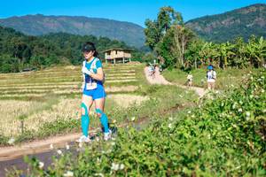 BIB: 
                            <button type="button" onclick="openModal(26683500)" class="btn btn-primary btn-sm float-right btn-popup" data-toggle="modal" data-target=".modal-high-quality">
                        <i class="fas fa-shopping-cart"></i> Add to Cart
                    </button>
                                            <button type="button" onclick="isThisMe(26683500, true)" class="btn btn-success btn-sm float-right btn-popup btn-isme hidden" data-toggle="tooltip" data-placement="bottom" title="นี่คือรูปของคุณใช่ไหม คลิกที่นี่เพื่อเอาเข้าอัลบั้ม">
                        <i class="fas fa-plus"></i> Add to album
                    </button>
                    <button type="button" onclick="isThisMe(26683500, false)" class="btn btn-warning btn-sm float-right btn-popup btn-isnotme hidden">
                        <i class="fas fa-ban"></i> Remove from album
                    </button>