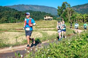 BIB: 
                            <button type="button" onclick="openModal(26728914)" class="btn btn-primary btn-sm float-right btn-popup" data-toggle="modal" data-target=".modal-high-quality">
                        <i class="fas fa-shopping-cart"></i> Add to Cart
                    </button>
                                            <button type="button" onclick="isThisMe(26728914, true)" class="btn btn-success btn-sm float-right btn-popup btn-isme hidden" data-toggle="tooltip" data-placement="bottom" title="นี่คือรูปของคุณใช่ไหม คลิกที่นี่เพื่อเอาเข้าอัลบั้ม">
                        <i class="fas fa-plus"></i> Add to album
                    </button>
                    <button type="button" onclick="isThisMe(26728914, false)" class="btn btn-warning btn-sm float-right btn-popup btn-isnotme hidden">
                        <i class="fas fa-ban"></i> Remove from album
                    </button>