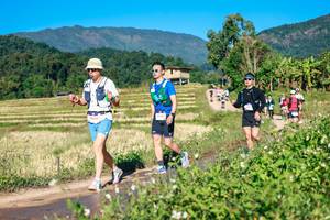 BIB: 
                            <button type="button" onclick="openModal(26683626)" class="btn btn-primary btn-sm float-right btn-popup" data-toggle="modal" data-target=".modal-high-quality">
                        <i class="fas fa-shopping-cart"></i> Add to Cart
                    </button>
                                            <button type="button" onclick="isThisMe(26683626, true)" class="btn btn-success btn-sm float-right btn-popup btn-isme hidden" data-toggle="tooltip" data-placement="bottom" title="นี่คือรูปของคุณใช่ไหม คลิกที่นี่เพื่อเอาเข้าอัลบั้ม">
                        <i class="fas fa-plus"></i> Add to album
                    </button>
                    <button type="button" onclick="isThisMe(26683626, false)" class="btn btn-warning btn-sm float-right btn-popup btn-isnotme hidden">
                        <i class="fas fa-ban"></i> Remove from album
                    </button>