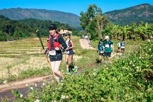 BIB: 
                            <button type="button" onclick="openModal(26683724)" class="btn btn-primary btn-sm float-right btn-popup" data-toggle="modal" data-target=".modal-high-quality">
                        <i class="fas fa-shopping-cart"></i> Add to Cart
                    </button>
                                            <button type="button" onclick="isThisMe(26683724, true)" class="btn btn-success btn-sm float-right btn-popup btn-isme hidden" data-toggle="tooltip" data-placement="bottom" title="นี่คือรูปของคุณใช่ไหม คลิกที่นี่เพื่อเอาเข้าอัลบั้ม">
                        <i class="fas fa-plus"></i> Add to album
                    </button>
                    <button type="button" onclick="isThisMe(26683724, false)" class="btn btn-warning btn-sm float-right btn-popup btn-isnotme hidden">
                        <i class="fas fa-ban"></i> Remove from album
                    </button>