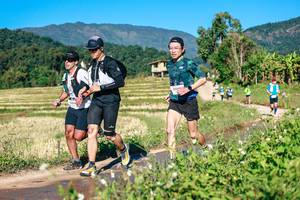 BIB: 
                            <button type="button" onclick="openModal(26729054)" class="btn btn-primary btn-sm float-right btn-popup" data-toggle="modal" data-target=".modal-high-quality">
                        <i class="fas fa-shopping-cart"></i> Add to Cart
                    </button>
                                            <button type="button" onclick="isThisMe(26729054, true)" class="btn btn-success btn-sm float-right btn-popup btn-isme hidden" data-toggle="tooltip" data-placement="bottom" title="นี่คือรูปของคุณใช่ไหม คลิกที่นี่เพื่อเอาเข้าอัลบั้ม">
                        <i class="fas fa-plus"></i> Add to album
                    </button>
                    <button type="button" onclick="isThisMe(26729054, false)" class="btn btn-warning btn-sm float-right btn-popup btn-isnotme hidden">
                        <i class="fas fa-ban"></i> Remove from album
                    </button>