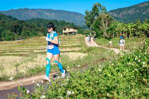 BIB: 
                            <button type="button" onclick="openModal(26683513)" class="btn btn-primary btn-sm float-right btn-popup" data-toggle="modal" data-target=".modal-high-quality">
                        <i class="fas fa-shopping-cart"></i> Add to Cart
                    </button>
                                            <button type="button" onclick="isThisMe(26683513, true)" class="btn btn-success btn-sm float-right btn-popup btn-isme hidden" data-toggle="tooltip" data-placement="bottom" title="นี่คือรูปของคุณใช่ไหม คลิกที่นี่เพื่อเอาเข้าอัลบั้ม">
                        <i class="fas fa-plus"></i> Add to album
                    </button>
                    <button type="button" onclick="isThisMe(26683513, false)" class="btn btn-warning btn-sm float-right btn-popup btn-isnotme hidden">
                        <i class="fas fa-ban"></i> Remove from album
                    </button>